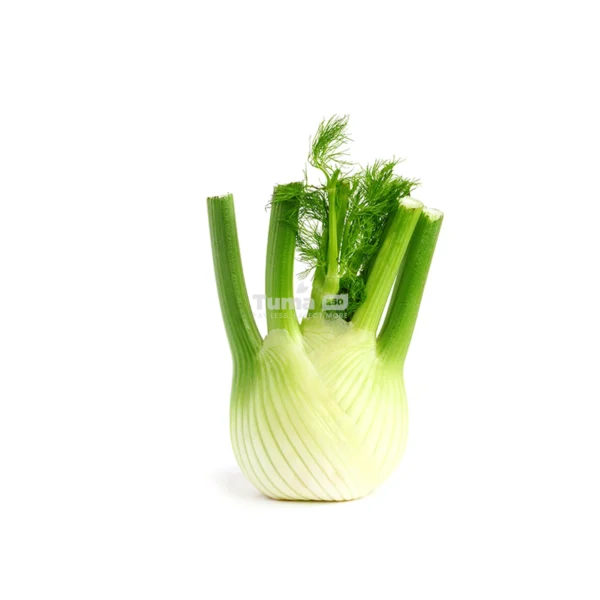 Fennel/Fenouille - 1pcs