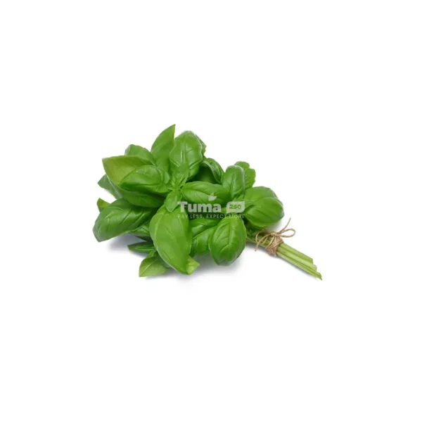 Basil-Basilic - 250g