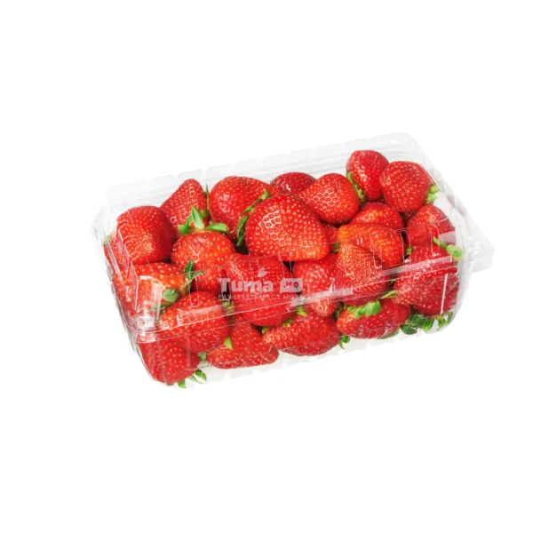 Fresh Strawberries (Fraises Fraiche Fruits) Box