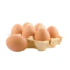 Laying Chicken Eggs (Oeuf de Poule Pondeuse)