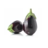 Black Eggplant -1pcs