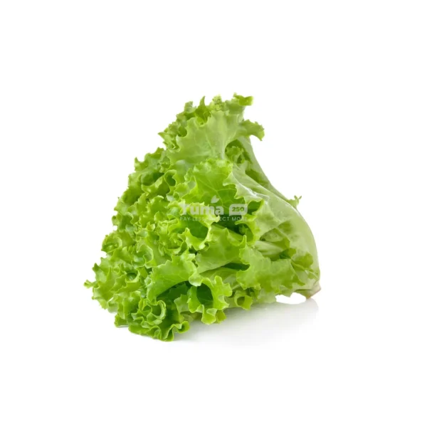 Green Lettuce/Bunch