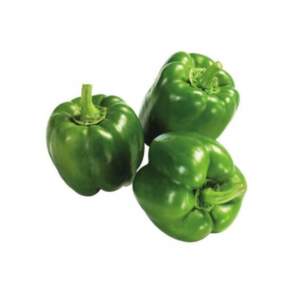 Fresh Green Bell Pepper