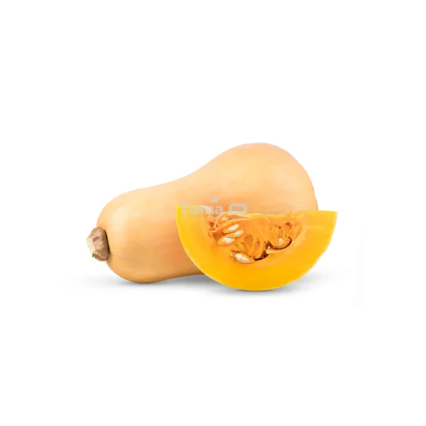 ButterNut Squash / Noyer Cendré