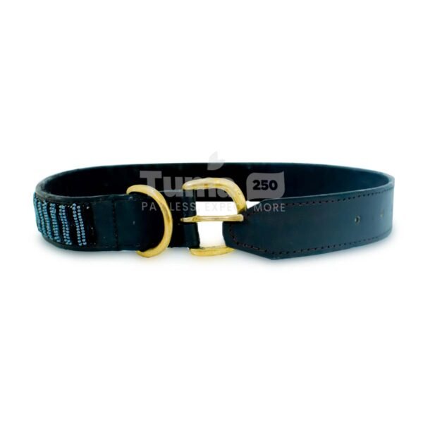 Dog Collar Big Size - Image 2