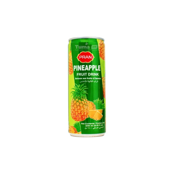 Pran Pineapple Fruit Drink 250ml