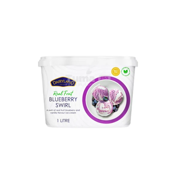 Dairyland Real Fruit Blueberry Swirl Ice Cream 1L