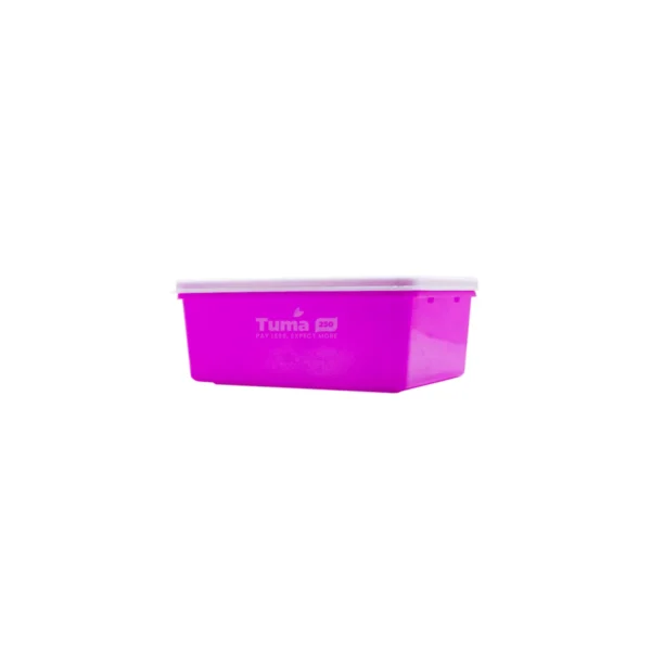 Rainbow Food Container