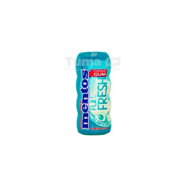 Mentos Wintergreen Full Fresh Bottle 31.5g (18Pcs)